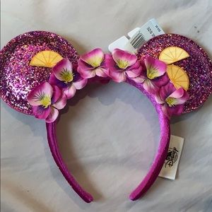 Disney Parks Flower and Garden Ears